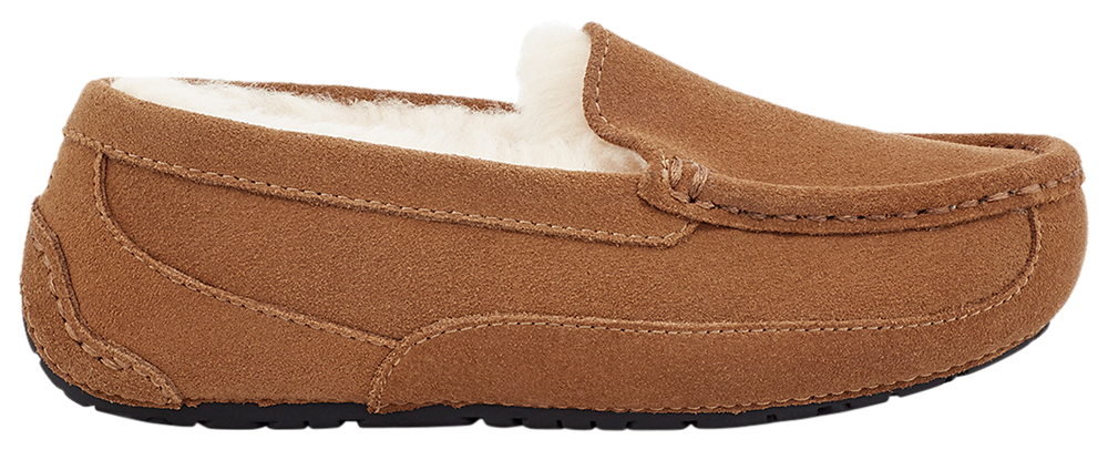 UGG Ascot - Girls' Grade School Chestnut Suede product view